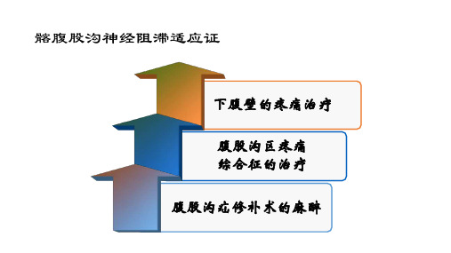 超声引导髂腹股沟神经腹横平面阻滞