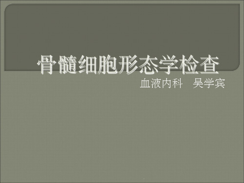 最经典 骨髓细胞形态学检查