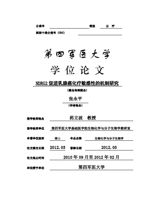 ndrg2促进乳腺癌化疗敏感性的机制研究