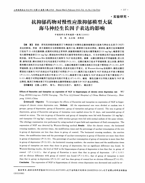 抗抑郁药物对慢性应激抑郁模型大鼠海马神经生长因子表达的影响