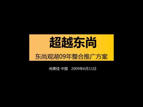 东尚观湖09年整合推广的方案