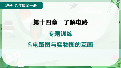 2024年沪科版九年级物理专题训练5.电路图与实物图的互画