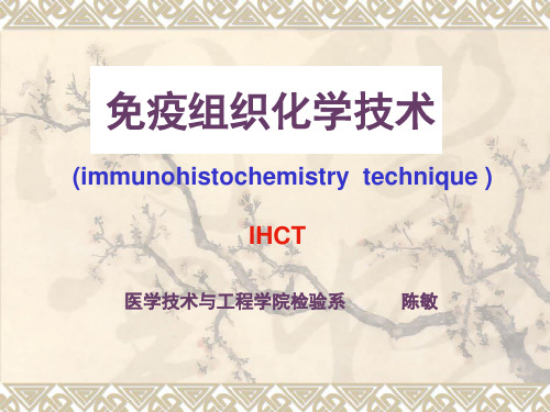 免疫组织化学技术