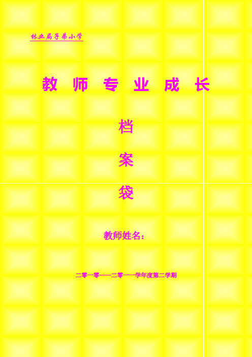 2010-2011第二学期教师成长档案