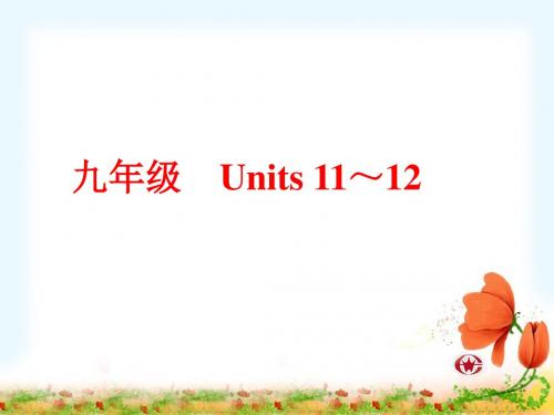 名师中考英语复习课件九Units11-12