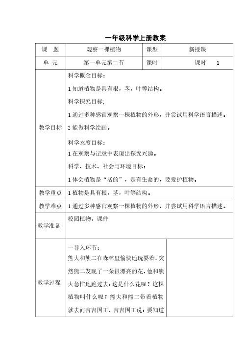 教科版小学科学一年级上册：观察一棵植物教案1