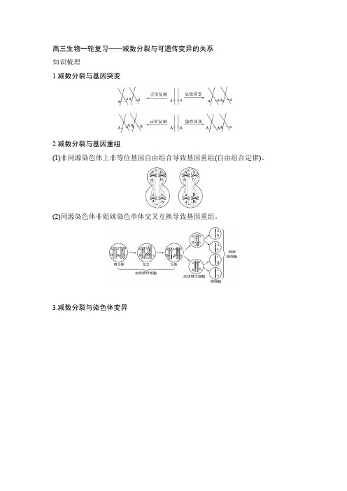 高三生物一轮复习——减数分裂与可遗传变异的关系