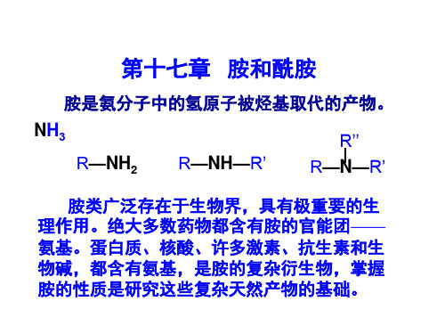 第十七章 胺和酰胺教材