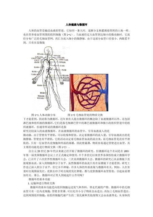 人体健康与微循环