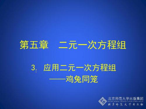 3 应用二元一次方程组——鸡兔同笼