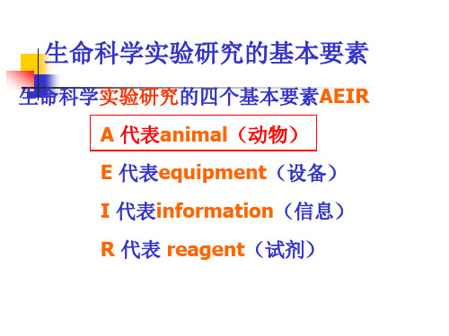 实验动物新概念及质量控制