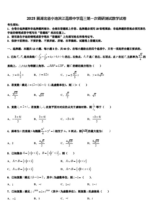 2025届湖北省小池滨江高级中学高三第一次调研测试数学试卷含解析