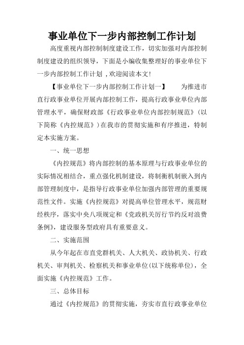 事业单位下一步内部控制工作计划.docx