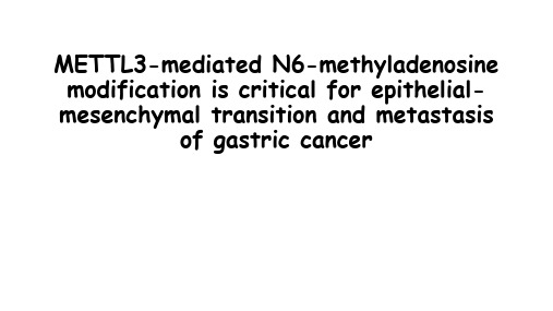 mettl3介导的n6-甲基腺苷修饰对胃癌上皮-间充质转化和转移至关重要