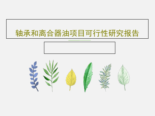 轴承和离合器油项目可行性研究报告共16页