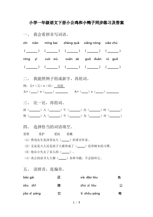 小学一年级语文下册小公鸡和小鸭子同步练习及答案