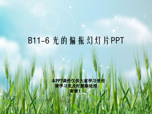 B11-6 光的偏振幻灯片PPT