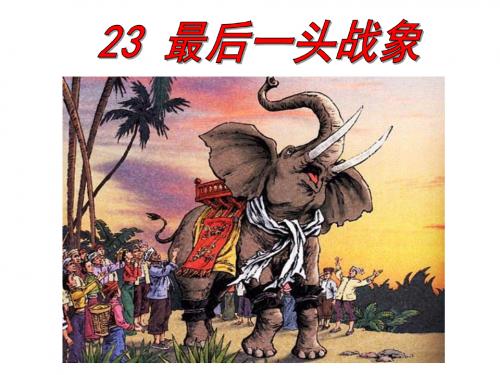 23、最后一头战象