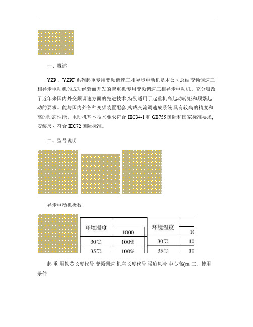 YZP(F)系列电机样本(最新版)