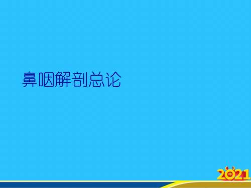 鼻咽解剖总论优秀PPT