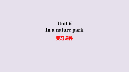 人教PEP版小学五年级上册英语Unit 6 In a nature park 复习课件