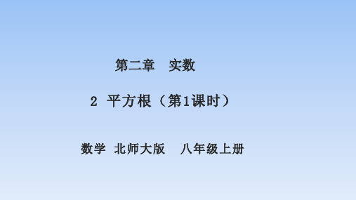 北师大版八年级上册1.2平方根第1课时课件(15张PPT)