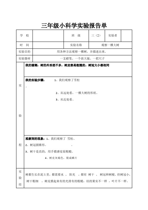 教科版三年级上册科学实验报告单