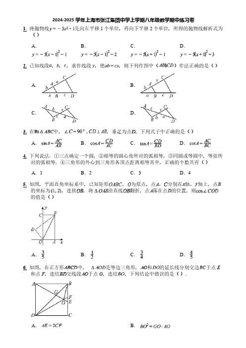 2024-2025学年上海市张江集团中学上学期八年级数学期中练习卷