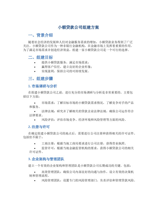 小额贷款公司组建方案