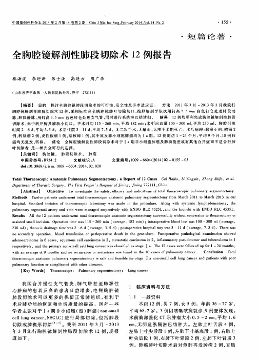 全胸腔镜解剖性肺段切除术12例报告