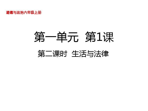 《感受生活中的法律》PPT课件人教部编版道德与法治1