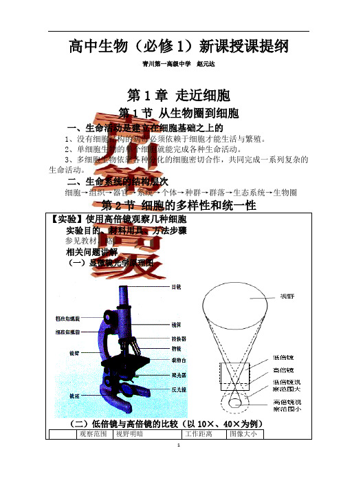 高中生物(必修1)新课授课提纲