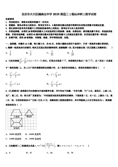 北京市大兴区魏善庄中学2025届高三(最后冲刺)数学试卷含解析