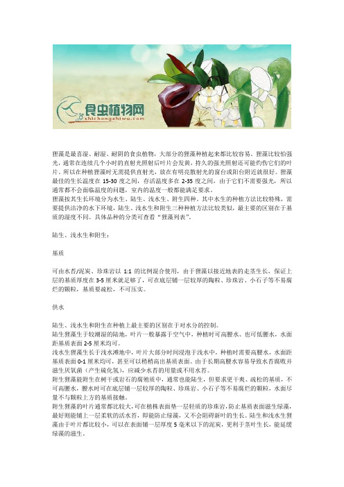 种植狸藻 - 狸藻科(Lentibulariaceae)中的狸藻属(Utricularia)- 食虫植物资料