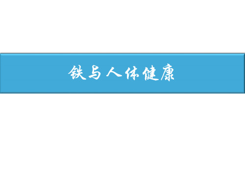 高三化学高考复习 铁与人体健康 说课 课件(共17张PPT)