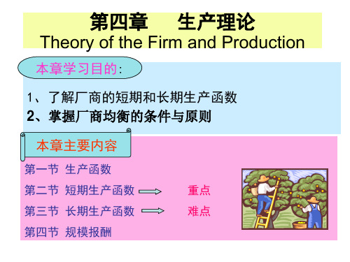 第四章 生产者选择(新)