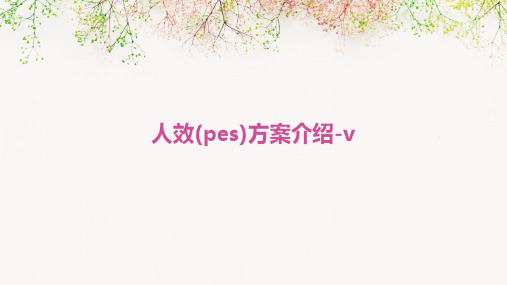 人效(PES)方案介绍-V