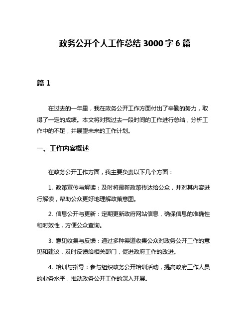 政务公开个人工作总结3000字6篇