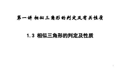 相似三角形的判定及性质