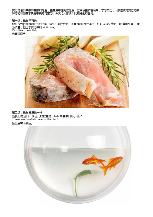 fish 是一个很另类的词,只因为这 3 点