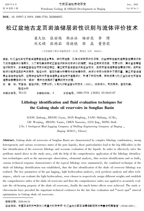 松辽盆地古龙页岩油储层岩性识别与流体评价技术