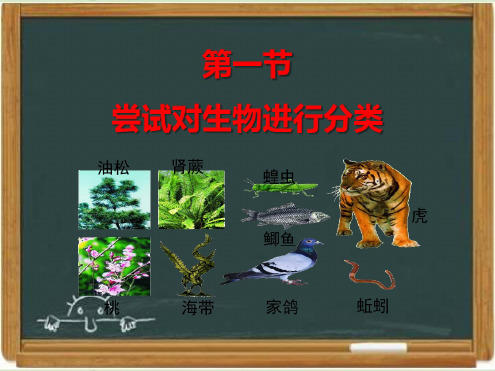 冀少版七年级生物上册《尝试对生物进行分类》课件