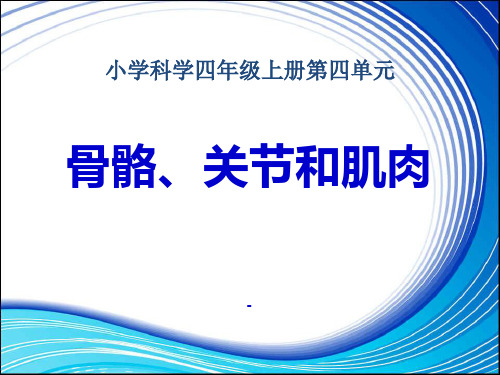 科教版四上《骨骼、关节和肌肉》课件