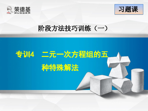 专训4 二元一次方程组的五种特殊解法