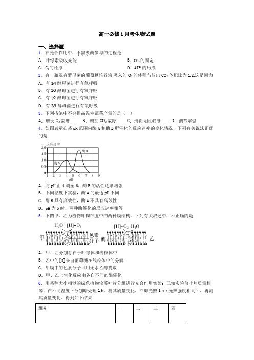 高一必修1月考生物试题