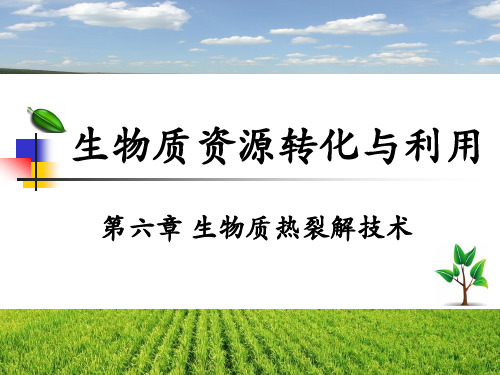 生物质资源转化与利用 第六章 生物质热裂解技术