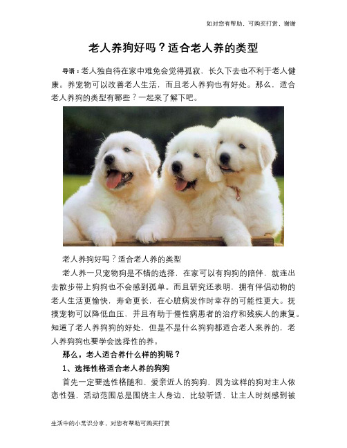 老人养狗好吗?适合老人养的类型