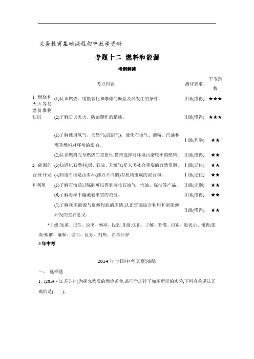 中考化学复习测试题 燃料和能源含答案