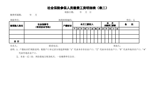 社会保险参保人员缴费工资明细表(表二)