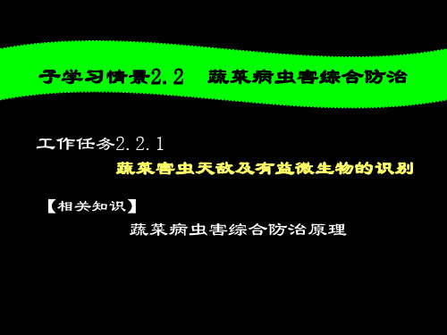 蔬菜病虫害综合防治课件 114页PPT文档